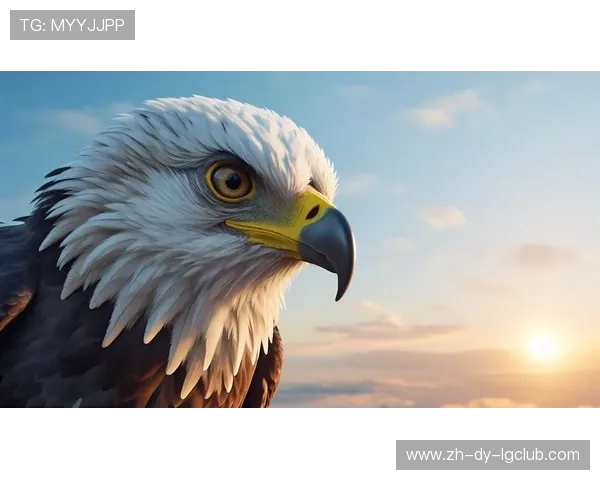 惊险有趣的鸵鸟赛跑踢足球精彩极限对决全程记录呈现震撼瞬间画面 惊险有趣的鸵鸟赛跑踢足球精彩极限对决全程记录呈现震撼瞬间画面