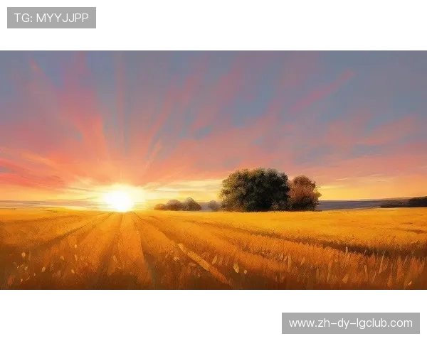 绿茵场上错过的拥抱诉说爱情的遗憾与岁月中不灭的勇气与梦想光芒 绿茵场上错过的拥抱诉说爱情的遗憾与岁月中不灭的勇气与梦想光芒